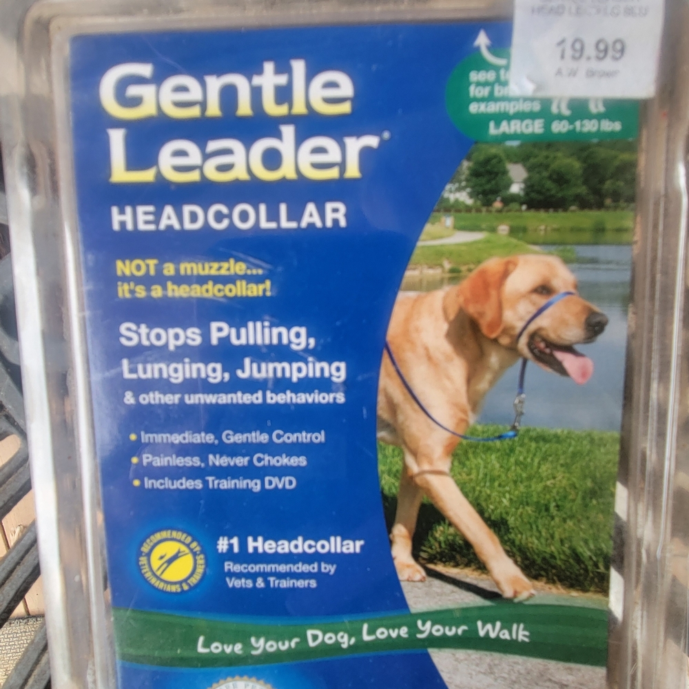 PetSafe Blue Dog Collar for Comfortable Control